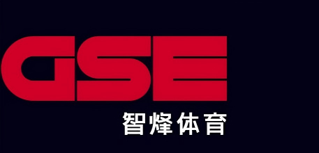 GSE